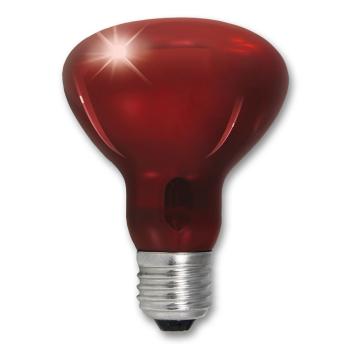 Terra Exotica Infra Red - Infrarot Reflektorstrahler - 40 Watt